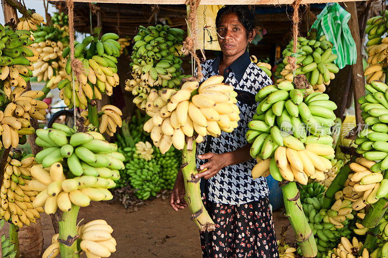 香蕉卖。斯里兰卡