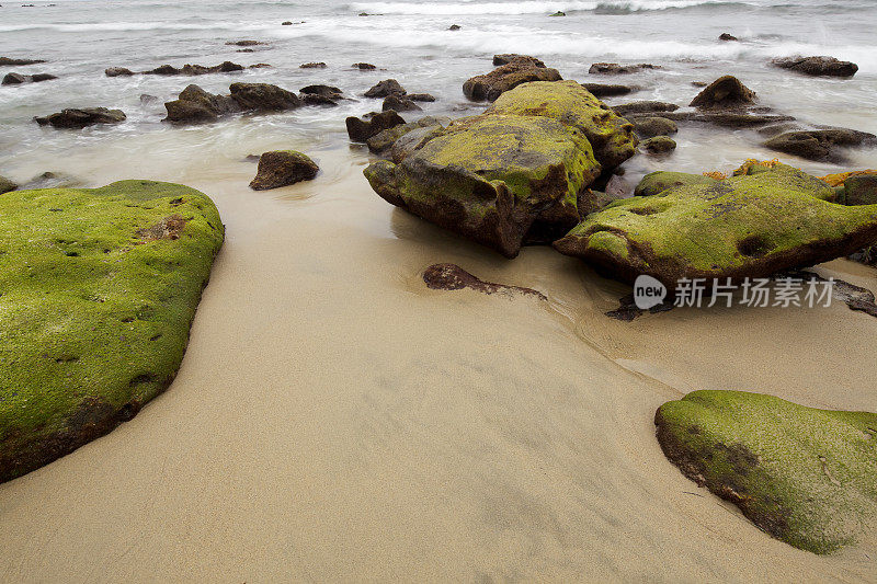 加利福尼亚南部海岸线上布满苔藓的岩石