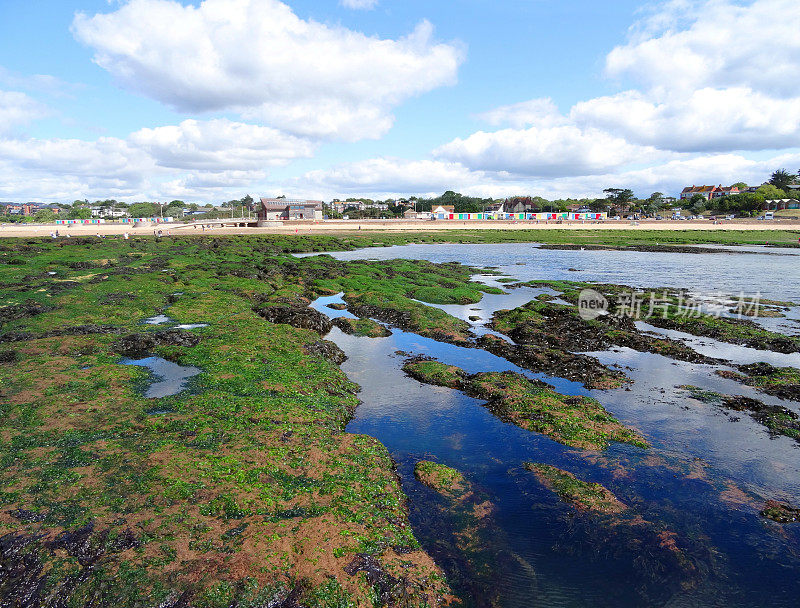 埃克斯茅斯的海滩与岩石池，海藻，沙子，蓝色的大海