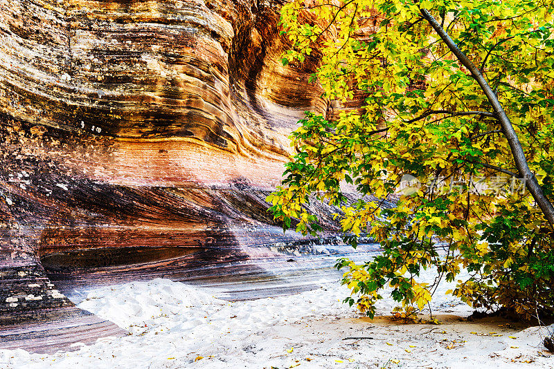 峡谷壁和棉白杨在秋天
