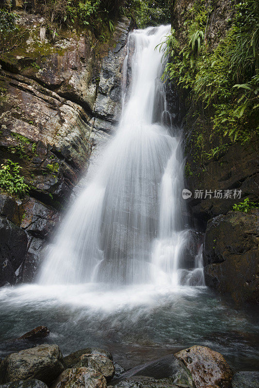 波多黎各埃尔云克国家森林的瀑布矿