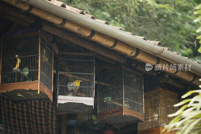 悬挂在印尼Jatiluwih的传统巴厘岛鸟笼