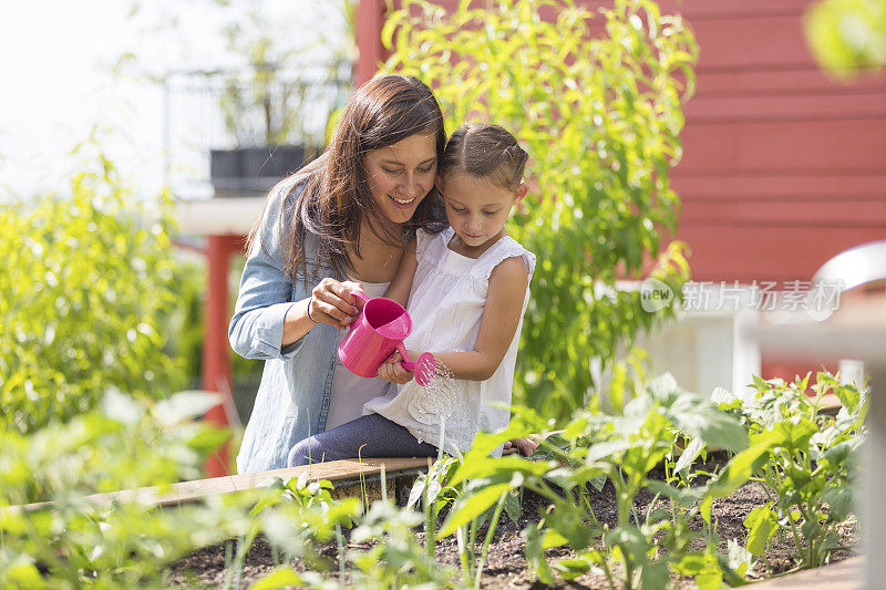 母亲和女儿喜欢一起在户外园艺和种植