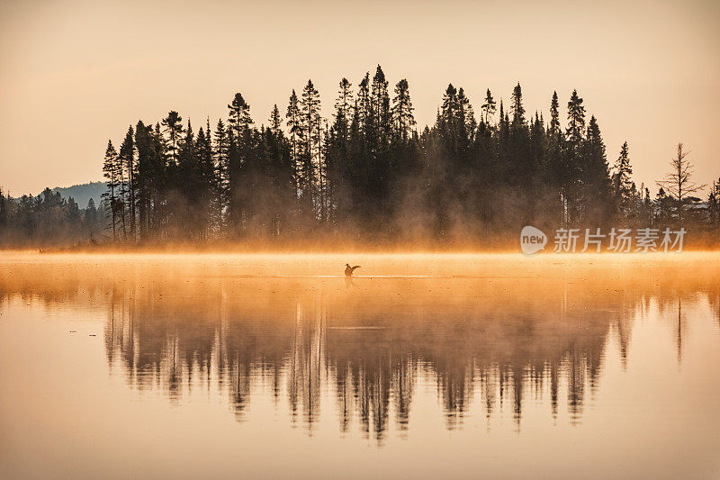 加拿大安大略省阿尔冈昆省公园湖上的朦胧日出