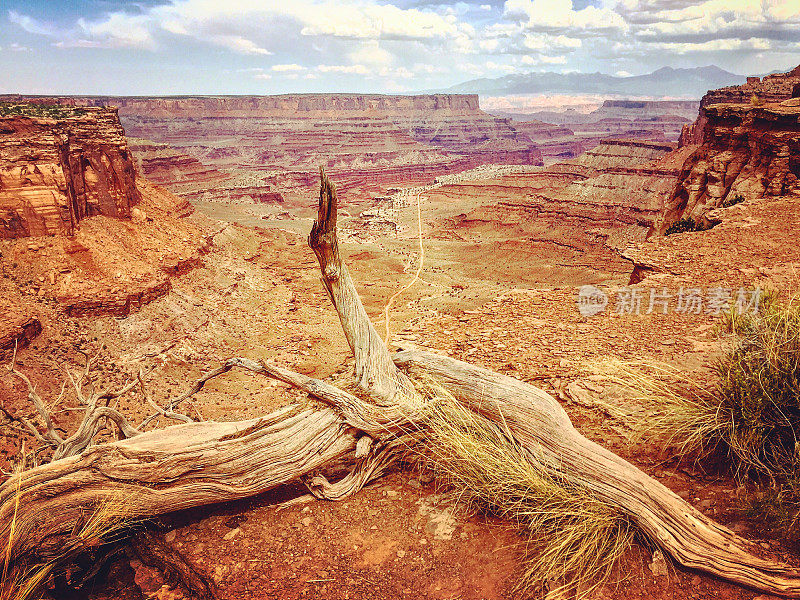 犹他州的峡谷地山