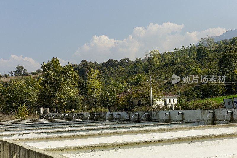 鳟鱼养殖场水池在土耳其的sakarya