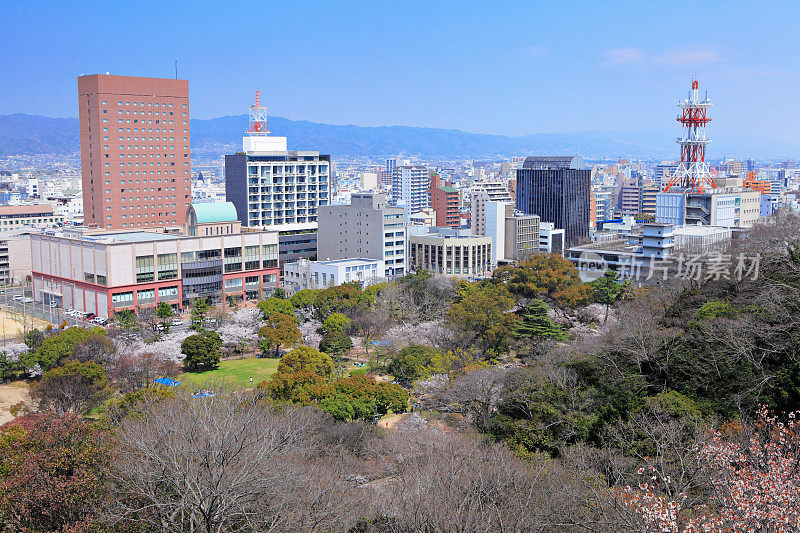 日本和歌山的城市,