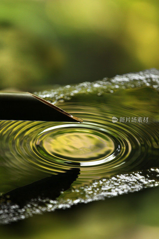 水滴在日本禅宗花园中形成涟漪