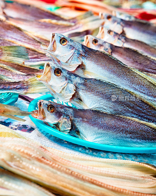 釜山鱼市展示的鲜鱼