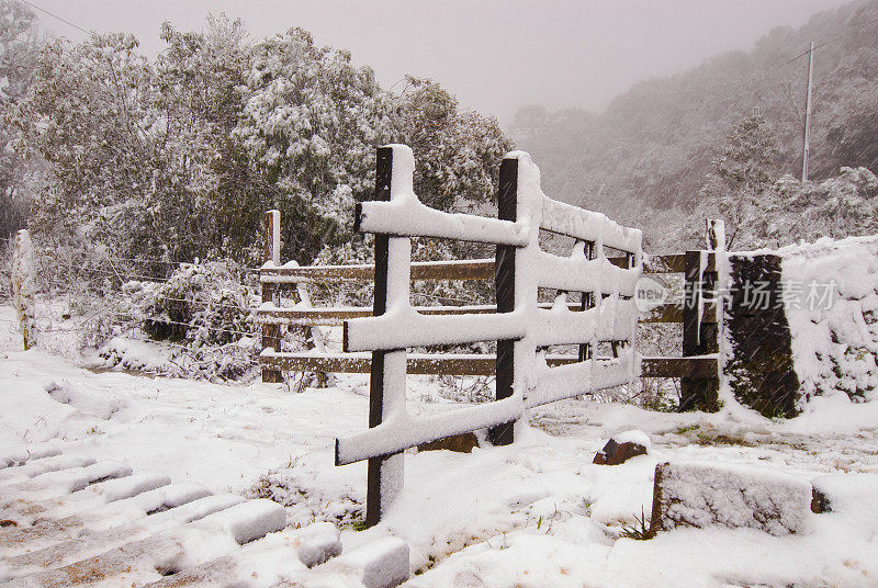 巴西圣卡塔琳娜市乌鲁比西农场被雪冰冻的porteria