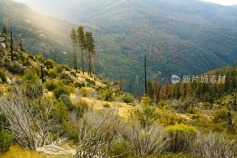 清晨在约塞米蒂国家公园。山上的日出。