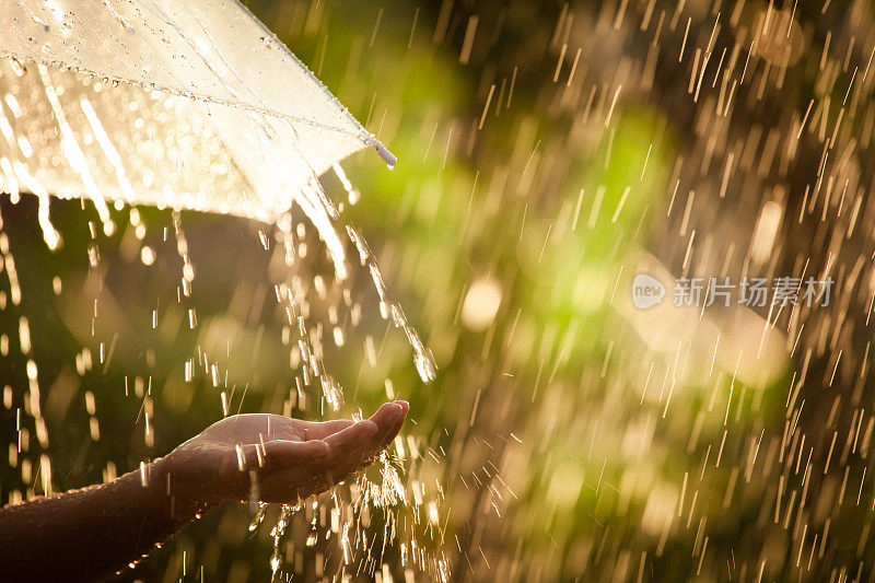 女人手拿伞在雨中