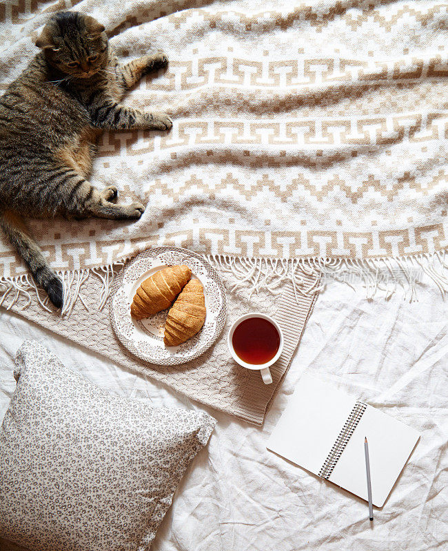 床上早餐概念-法式羊角面包配一杯茶。一个舒适温暖的毯子，英国猫，棉花花和一个记事本在框里。前视图。柔和的颜色。