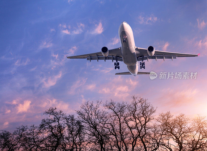 飞机着陆。一架白色的客机在五彩缤纷的晚霞中，在布满云和树木的紫色天空中飞行。旅游的背景。客运班机。商用飞机