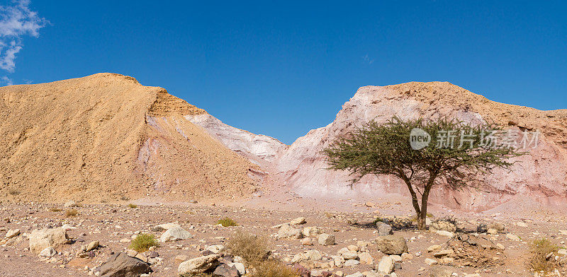 美丽的沙漠地质形成，五彩缤纷的砂岩可以