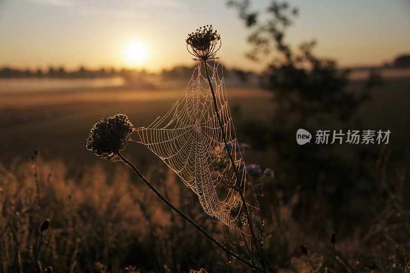 新的一天的开始