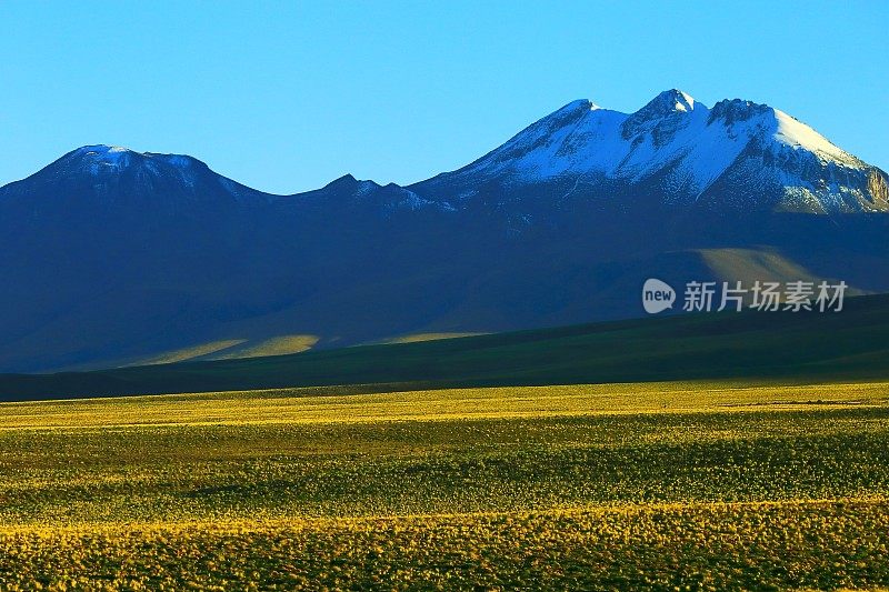 智利安第斯高原的日出和火山，田园诗般的阿塔卡马沙漠，白雪皑皑的火山草原普纳景观全景-安托法加斯塔地区，智利安第斯，智利，Bolívia和阿根廷边境