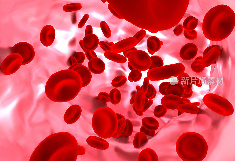 血管中有红细胞。