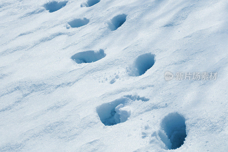 深雪中的脚印(5000万像素)