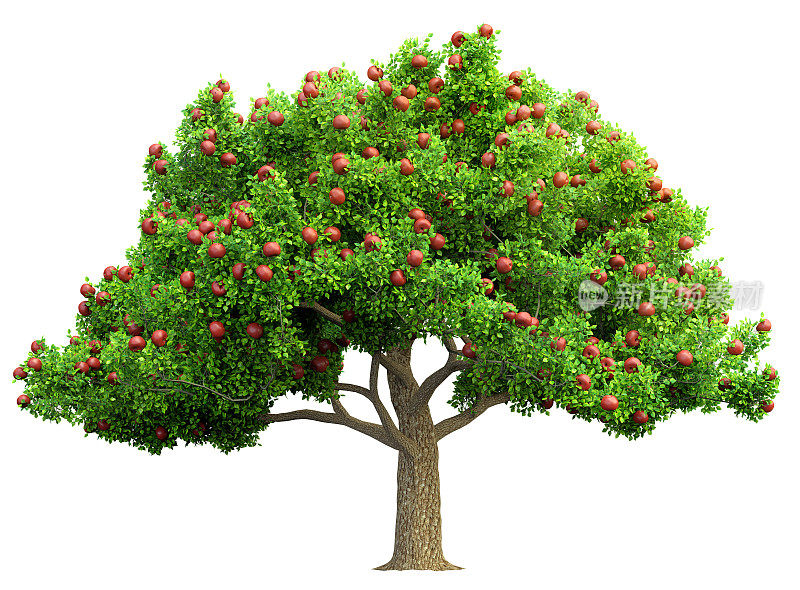 红苹果树孤立的3D插图