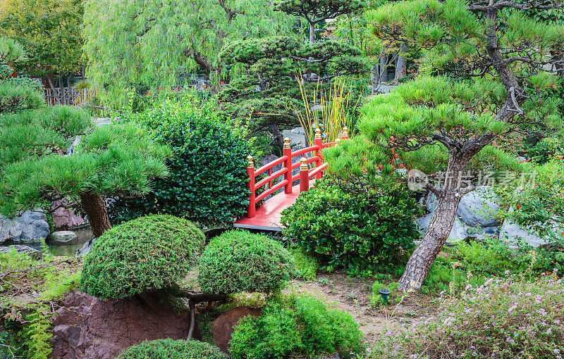 蒙特卡洛的日式花园