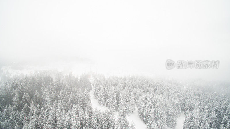 下雪的景色