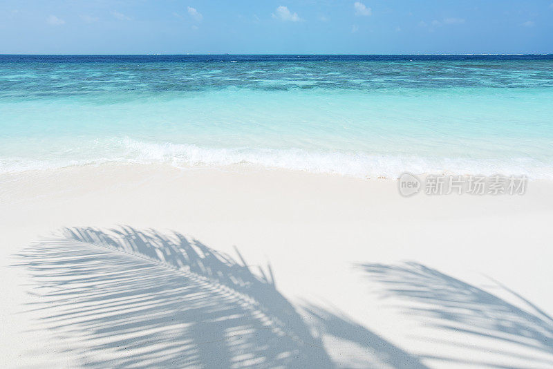 夏季海滩复制空间场景