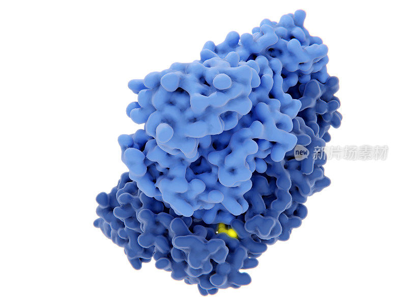 HIV-1逆转录酶(RT)与非核苷抑制剂复合物(黄色)。人类免疫缺陷病毒的单链RNA基因组被逆转录酶转化为双链DNA。