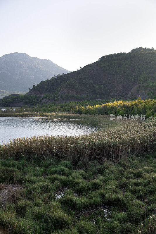 湖景