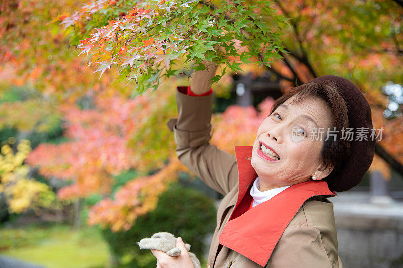 老年妇女享受秋天