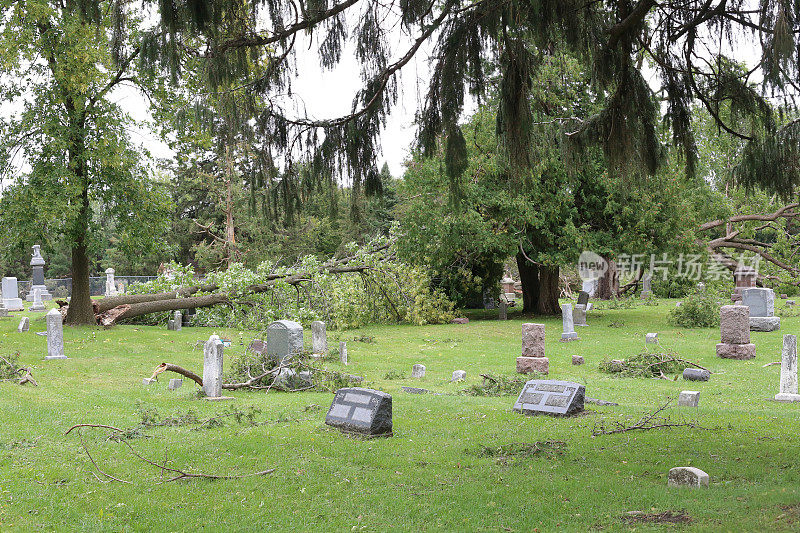 墓地里的断枝和旧墓碑