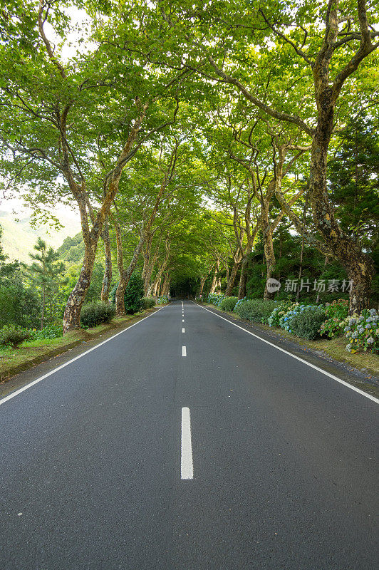 亚速尔群岛乡村公路