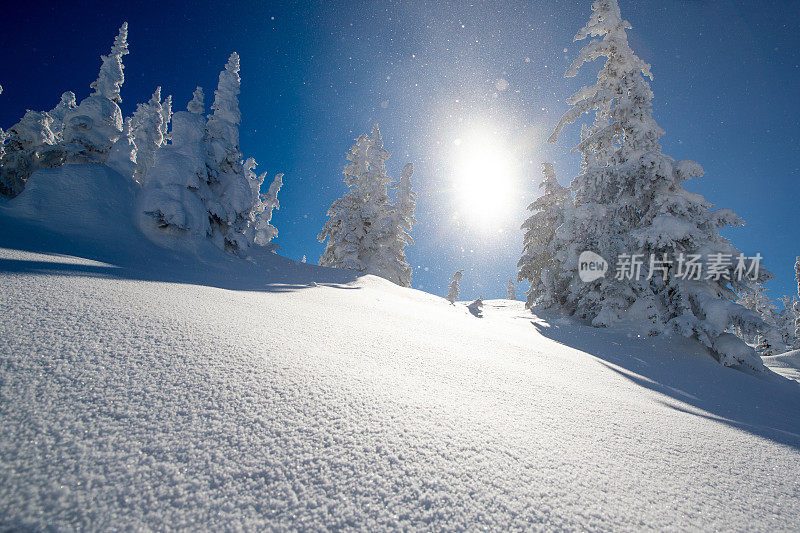 滑雪的背景