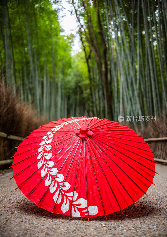 荒山竹林中的红竹伞。《京都议定书》。日本