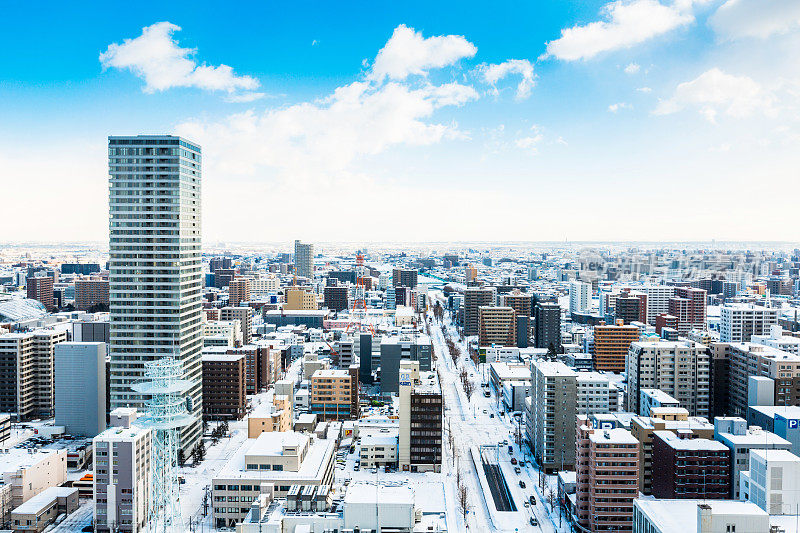 在冬季从电视塔上俯瞰奥多里花园