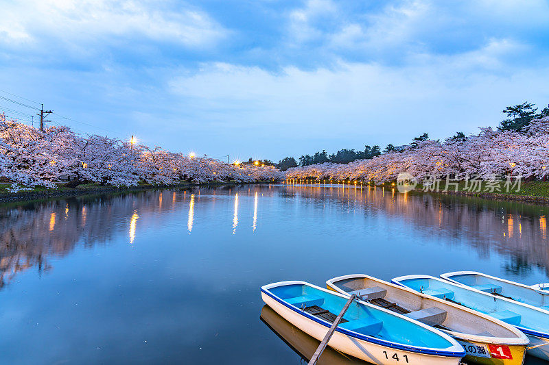 广崎公园樱花盛开的春天祭季