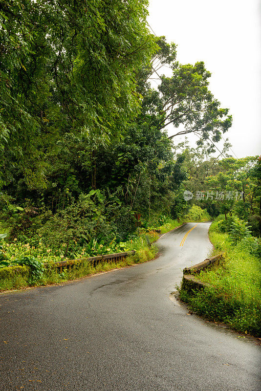 夏威夷毛伊岛哈纳风景优美的公路