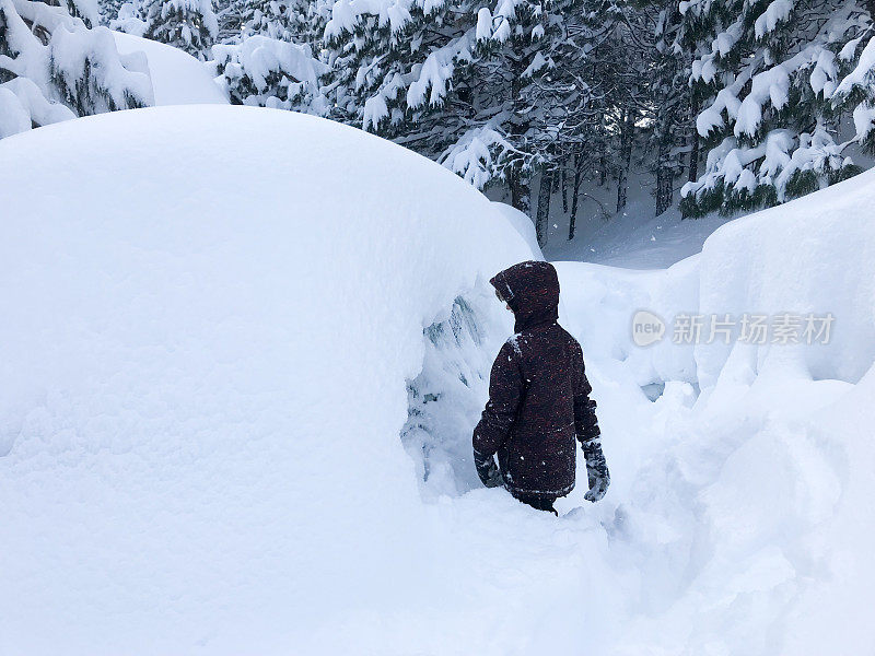 加州暴风雪过后，雪花飘飘，清理着厚厚的粉末。