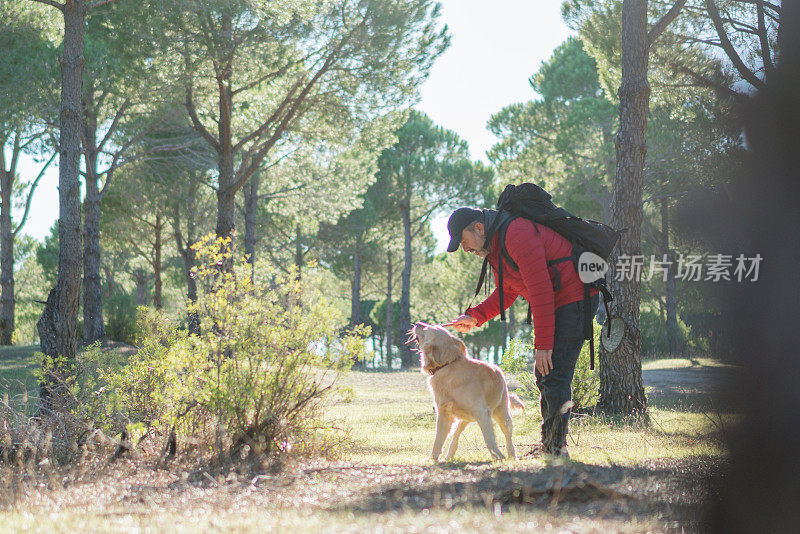 带着狗在森林里徒步旅行的人