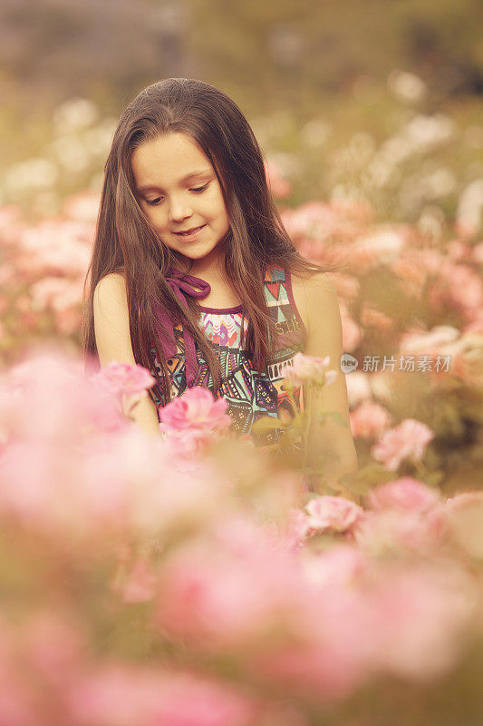 快乐的女孩在玫瑰花丛中嬉戏