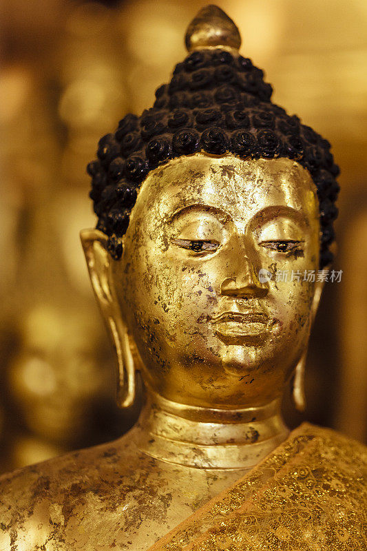 泰国清迈的金佛雕像