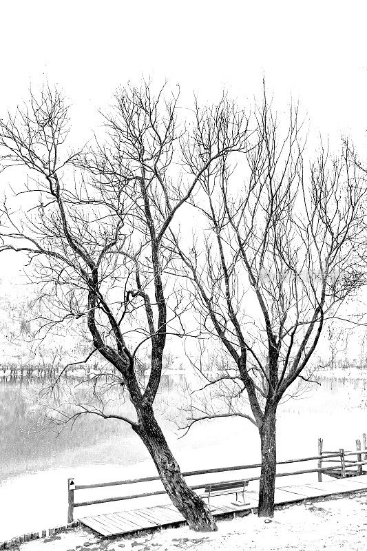 在黑色和白色的Revine湖的观点