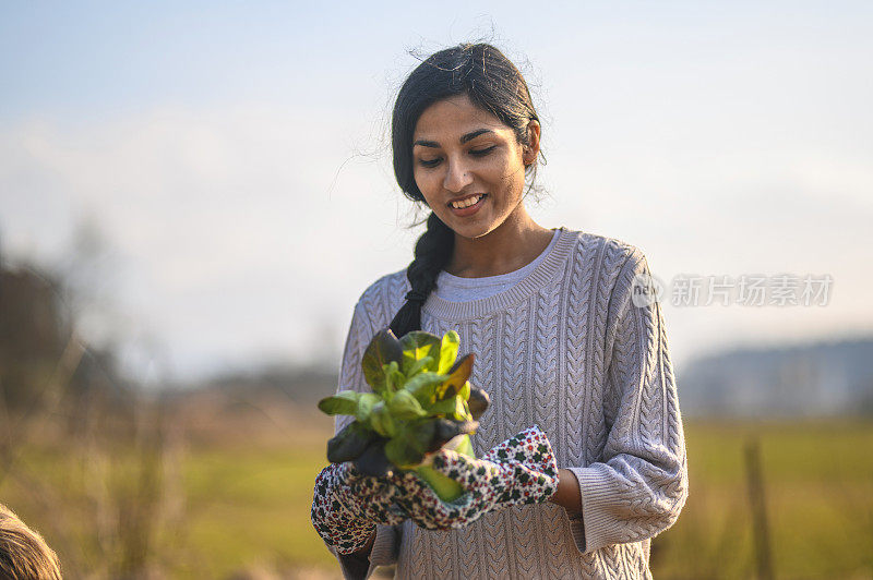 年轻女性园丁种植户外