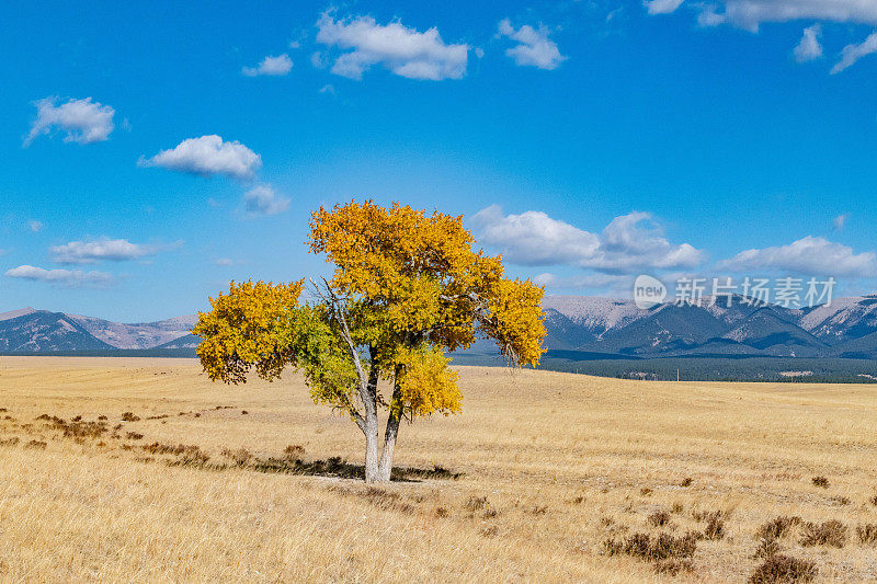 秋景非常乡村的蒙大拿牧场草原