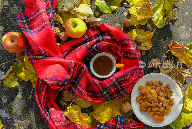 橘子杯热茶覆盖红色格子围巾横跨秋天的森林，坚果，苹果，黄叶，杏仁和干果盘子。前视图。秋天的静物画。背景。本空间