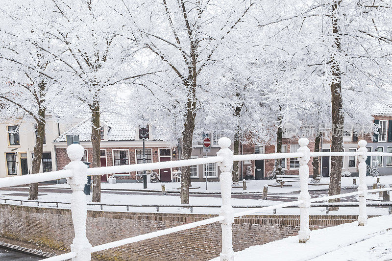 典型的荷兰房屋位于市中心的伯格尔运河，树木被霜冻覆盖