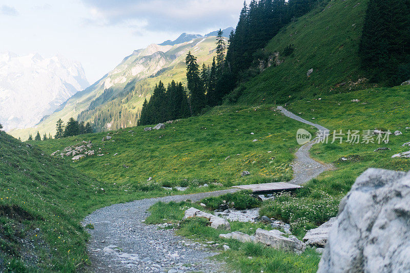 郁郁葱葱的草地和山路