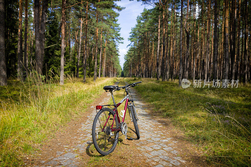 波兰假期-穿越皮斯森林的自行车旅行