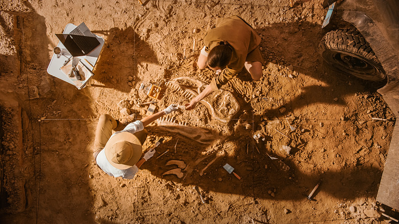自上而下的观点:两位伟大的古生物学家正在清理新发现的恐龙骨架。考古