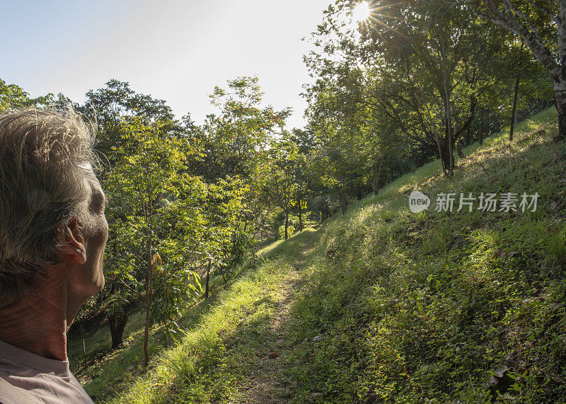 早晨，人们穿过热带雨林